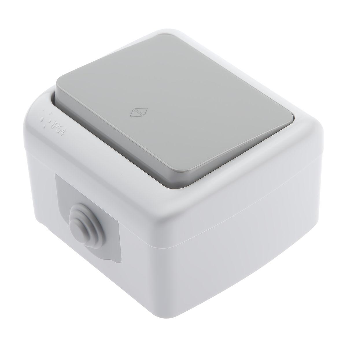 фото переключатель одноклавишный эра 10ax 250v 5-103-03 б0050942 | 220svet.ru