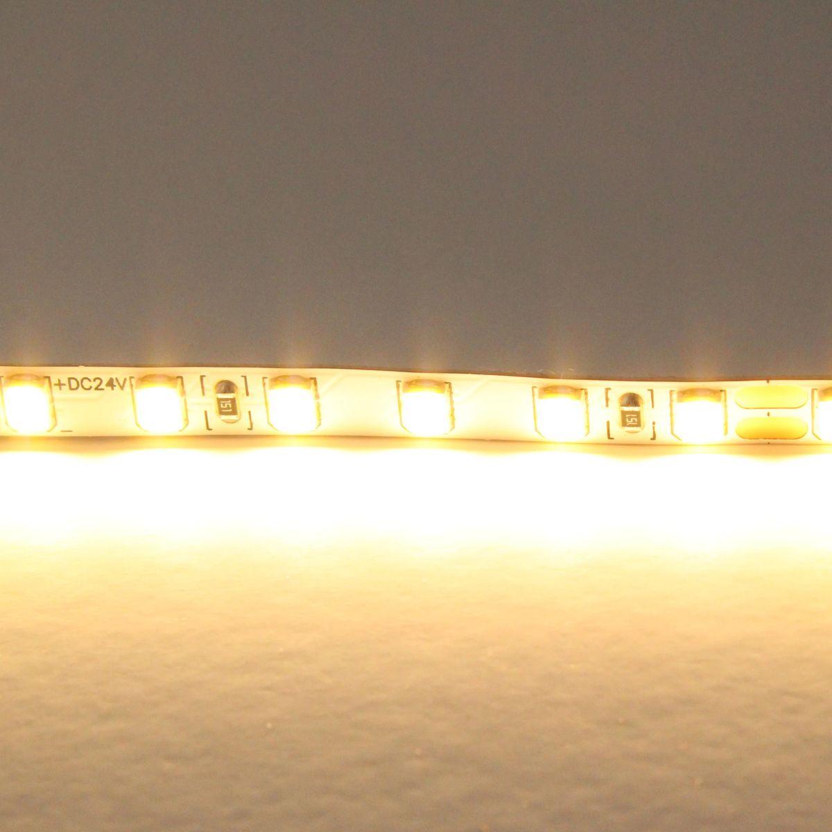 фото светодиодная лента lightstar 12w/m 120led/m 5m 420503 | 220svet.ru