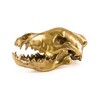 Миниатюра фото статуэтка wunderkrammer wolf skull seletti | 220svet.ru