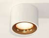 Миниатюра фото комплект накладного светильника ambrella light xs7510024 swh/pyg белый песок/золото желтое полированное (c7510, n7014) | 220svet.ru