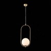 Миниатюра фото подвесной светильник st luce penolo sl1118.203.01 | 220svet.ru