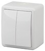 Миниатюра фото выключатель двухклавишный с подсветкой эра 10ax 250v ip54 11-1405-01 б0020677 | 220svet.ru