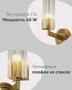 Миниатюра фото бра moderli brass v11015-1w | 220svet.ru