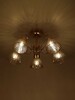 Миниатюра фото потолочная люстра rivoli victoria 9183-305 б0069944 | 220svet.ru