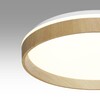 Миниатюра фото настенно-потолочный светильник sonex gari wood 7684/eln белый | 220svet.ru