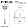 Миниатюра фото уличный парковый светильник citilux forts clu09p3 | 220svet.ru