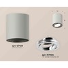 Миниатюра фото комплект накладного светильника ambrella light techno spot xs7423021 sgr/psl серый песок/серебро полированное (c7423, n7003) | 220svet.ru