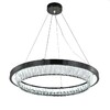 Миниатюра фото подвесной светодиодный светильник indigo riva 12045/1p black v000103l | 220svet.ru
