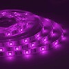 Миниатюра фото светодиодная влагозащищенная лента apeyron 7,2w/m 30led/m 3528smd разноцветная 5m 10-03 | 220svet.ru