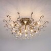 Миниатюра фото потолочная люстра с хрусталем eurosvet vita 10042/12 | 220svet.ru