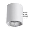 Миниатюра фото потолочный светильник odeon light brim 7139/12cl белый | 220svet.ru