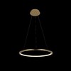 Миниатюра фото подвесной светильник loft it ring 10014m | 220svet.ru