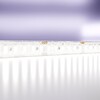 Миниатюра фото светодиодная влагозащищенная лента maytoni technical 20w/m 180led/m 2835smd холодный белый 5m 10159 | 220svet.ru