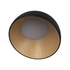 Миниатюра фото потолочный светильник loft it egg 10197/350 black | 220svet.ru