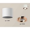 Миниатюра фото комплект накладного светильника ambrella light techno spot xs7401005 swh/ppg белый песок/золото розовое полированное (c7401, n7005) | 220svet.ru
