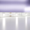 Миниатюра фото светодиодная лента led strip 24в 7,2вт/м 6000k maytoni 10165 | 220svet.ru