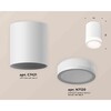 Миниатюра фото комплект накладного светильника ambrella light techno spot xs7421021 swh/fr белый песок/белый матовый (c7421, n7120) | 220svet.ru