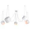 Миниатюра фото подвесная люстра lussole shirley grlsp-8175 | 220svet.ru